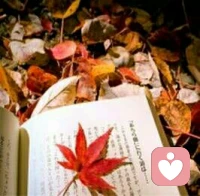 【轉(zhuǎn)】【秋心心語】:風(fēng)在追求葉子，承諾要帶著葉子去看外面的精彩世界。
葉子猶豫不決，征求樹的意見，樹說：“你若不離，我便不棄”。
	終有一天，葉子被風(fēng)打動，于是選擇隨風(fēng)漂泊。離開的那一刻，它問樹：“你為什么不挽留我”?樹驕傲的說：“世界上不只有你一片葉子”;配圖