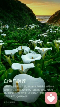 “不傷人是一種教養，但不被別人傷害是一種氣場?！迸鋱D