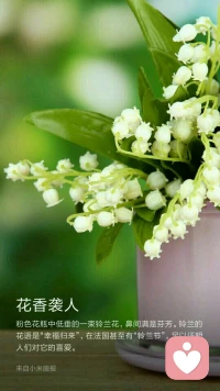 用煩惱的心看世界，你會無路可逃；
用輕松的眼看世界，你會發現這個世界處處都是突然的美好配圖