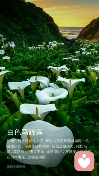 身安，不如心安；屋寬，不如心寬。以自然之道，養自然之身；做人，人品為先，才能為次；做事，明理為先，勤奮為次。人生要學會不抱怨，不等待，不盲從，不燥進。	???		???	-------早安各位！配圖