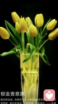 命，是失敗者的借口；
運，是成功者的謙詞。
失敗者說，命不好，
心里卻后悔，當(dāng)初沒盡力；
成功者說，是命好，
心里卻清楚，付出的代價。配圖