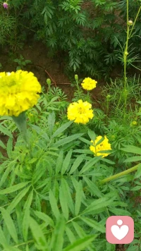 個(gè)人都渴望被人理解。但是如果你不說別人永遠(yuǎn)也沒機(jī)會(huì)知道。哪怕只是闡述自己思想的一部分。和大家交流起來就會(huì)燃起巨大的火花。當(dāng)你覺得孤寂的時(shí)候。來這里說說話，就像是對(duì)著大海投下自己的漂流瓶。總會(huì)有什么人撿起來看一看。即使無法回復(fù)，你的心情，也傳遞給了對(duì)方，這也是一種安慰。配圖