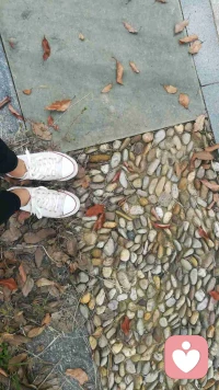 離家一公里的地方有個幾乎沒有人光顧的小公園，這幾天我常常散步到這里，公園兩側俱是公路，再者是農田，車來車往，公園里卻格外冷清，正值放學時段，踏著一地的落葉看匆匆過往的車輛配圖