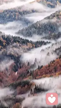 人生不在于你的起點，而在于你是否堅持，心在哪里結果就在哪里，一切在于自己。真心想做一件事情的時候，再大的困難也可以克服；不想做一件事情的時候，再小的阻礙也會成為卻步的理由。幾乎每個人都聽過“不忘初心，方得始終”，卻少有人知道下一句“初心易得，始終難守”。做任何事情，難在堅持，也貴在堅持。配圖