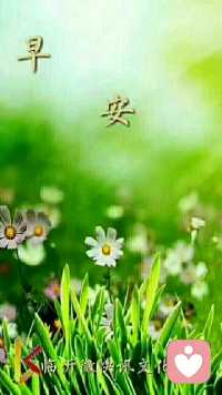 【轉(zhuǎn)】【秋心心語】:越長大越發(fā)現(xiàn)，并不是所有的事情必須要得到他人的認(rèn)可，而且有時(shí)候就算被認(rèn)可了也未必是對(duì)的，我們只需要勇敢的做出自己的選擇和承擔(dān)相應(yīng)的責(zé)任就夠了。錯(cuò)了是經(jīng)歷，對(duì)了是幸運(yùn)。		只有經(jīng)歷才會(huì)成長。早安！配圖