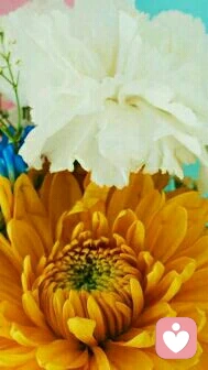 【分享】心理咨詢帶給我們不僅是心理健康，更多的還有很多社會意義，這也是他迷人之處，在我長程來訪者中的一位，用10天的時間積累近百位客戶，工作業績直線上升，老板對她的態度也發生重大改變。而我僅僅給予她的人際溝通只是剛剛的開始，期待！期待，，，，配圖