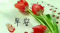 命運如同手中的掌紋，無論多曲折，終掌握在自己手中。配圖