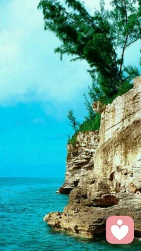 【轉】當有一天，你發現你的情緒不能用語言說出來，而寧愿讓自己漸漸消失在深夜亮著著華麗街燈的街道上，這就是孤獨。配圖