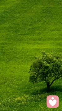 【轉(zhuǎn)】當(dāng)有一天，你發(fā)現(xiàn)你的情緒不能用語言表達(dá)出來，而情愿讓自己漸漸消失在深夜華麗街燈的街頭，這就是孤獨(dú)配圖