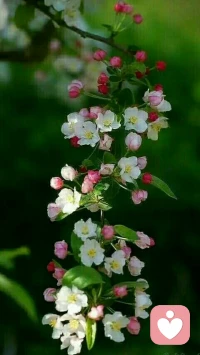 我相信如果你真誠的來面對自己的問題，不抱著懷疑的心態，而是抱著誠摯的心來汲取轉化的力量，問題就不會成為問題，而是會成為你轉化的契機。配圖