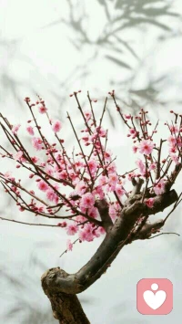 【轉(zhuǎn)】不管現(xiàn)實(shí)多么慘不忍睹，你都要相信生命里總會(huì)有一朵祥云為你繚繞，總有一道光是屬于你的。配圖