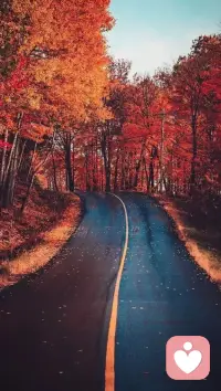 人生，不可能時時順心、處處完美。
有時，遭遇誤解，言辭申辯是徒勞，
不如一笑而過，讓時間告訴答案。
遇到話不投機之人，多說是過，
置之不理才是一種智慧。
能干擾你的，往往是自己的太在意，
能傷害你的，往往是自己的想不開。
你若平和，無人可恨，
你若不究，無人能擾。配圖