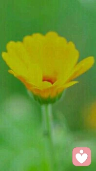 生活，工作，家庭，人際交往中，我們一定會遇見與自己觀點(diǎn)不同的人，當(dāng)你覺得和對方完全屬于不同類型的人時，能及時停止你們的爭執(zhí)，保持距離，不耗損自己的精氣神，便是最大的智慧。
做好自己，暖心和你，一直在一起。配圖