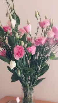 感谢生命中那么多帮助我的朋友，两天时间就招募到20名性心理来访，祝愿两年后一个都不少！！！