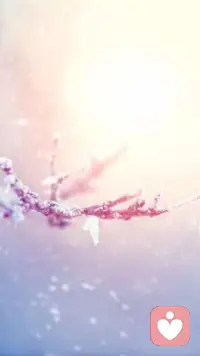 我愿意傳播正念，讓世界因我而美麗
?
我今生要把我美好而堅定的信念
傳播給那些迷茫的人，
讓他們也因此覺醒和偉大！
?
我要把喜悅帶給那些苦難的人，
讓他們因此幸福！
?
我要把智慧和真理帶給那些黑暗中的人，
讓他們重見光明！配圖