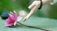 【轉(zhuǎn)】【秋心心語】:有這樣一個故事，有一個詩人才華橫溢且家境富裕，妻子美麗溫柔兒子聰明伶俐，但他怎么也感覺不到快樂。他請上帝幫他找回幸福，上帝先奪去了他的財產(chǎn)，再帶走他的妻兒，最后拿走了他的才華，詩人痛不欲生。過了一個月上帝把這些又重新還給了他，詩人摟著妻兒，長久地跪在地上感謝上帝賜予。配圖