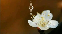 當我們無法控制外在世界時，我們就先把握好自己的內在世界，先從改變自己的內在世界開始，去開啟一個嶄新的世界。配圖