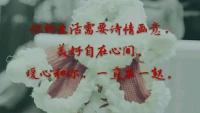 暖心來訪者風月無邊分享：風是個小偷。他從樹葉中穿過，帶走了幾片黃葉，攥著葉子在空氣中耀武揚威。他從天空中掠過，順手撕扯了幾朵棉花糖，嘻嘻哈哈，頑皮的揣進兜里。然而你卻抓不住他，他走過，留下的只有搖曳的樹影，無暇的天際，潔白的深冬。
你的生活需要詩情畫意，美妙自在心間，暖心和配圖