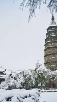 如果把給力咨詢專家們與來訪者的心理對話收集起來，都是經典！配圖