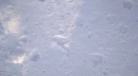 《1月7日》
是誰
在雪地上留下的痕跡
嬌小的身軀
黑夜中的雙眼
凝視著雪月
獨享著孤獨的歡愉
夜色的浪漫
又或
一前一后的嬉戲
顫栗的擁吻
綻放著愛的花朵
書寫著諾言
你的印記
給了我一個遐想的清晨配圖
