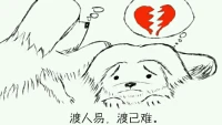 欣里有畫說：我們每個人都有足夠的能力去承擔別人的不幸，而我們面對自己的不幸呢？配圖