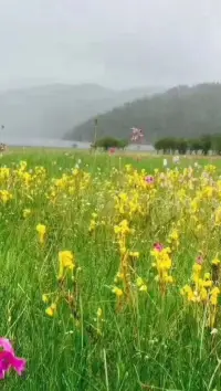 問(wèn)題不是問(wèn)題，怎么看這個(gè)問(wèn)題才是問(wèn)題。也就是說(shuō)，痛苦來(lái)自自己的想法，是受害者模式，還是索取控制模式，是托付心態(tài)，還是缺少力量與勇氣……打破這些鏈條，自己才能解脫，才會(huì)重生！配圖