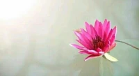 【轉】【秋心心語】:
一艘游輪遭遇海難，船上有對夫妻好不容易來到救生艇前，艇上只剩一個位子，這時男人卻把女人推向身后獨自爬上了救生艇。女人在漸沉的大海上，向男人喊了一句話……
有人猜，女人說的是“我恨你！”“我殺了你！”。還有人猜，女人喊了句“照顧好我們的孩子！”。配圖