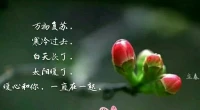 清新和新生的活力，你有感覺到嗎？
寒冷過去，白天長了，太陽暖了，暖心和你，一直在一起。配圖