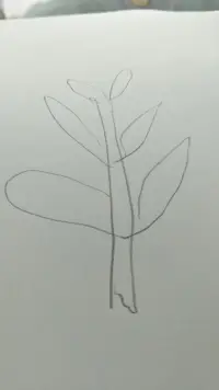 能掌握這個世界的不是那些嘲笑者，而是那些能夠經受得住嘲笑仍不斷往前走的人。配圖