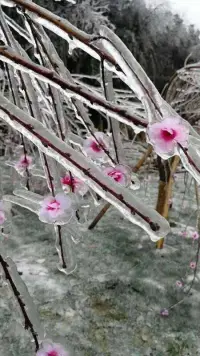對(duì)待生命，您不妨大膽冒險(xiǎn)一點(diǎn)。因?yàn)楹么跄愣家ニＨ绻@個(gè)世界真有奇跡，那只是努力的另一個(gè)名字。生命中最難的階段不是沒(méi)有人懂你，而是您不懂您自己。——尼采配圖