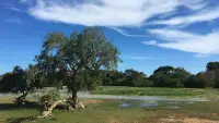 人的情況和樹相同。它愈想開向高處和明亮處，它的根愈要向下，向泥土，向黑暗處，向深處，向惡---千萬不要忘記。我們飛翔得越高，我們?cè)谀切┎荒茱w翔的人	眼中的形象	越是渺小。	——尼采	《查拉圖斯特拉如是說》配圖