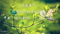 暖心來訪者明白分享：
時間在走，
年齡在長。
懂得的多了，
看明白的也多了，
就知道怎樣讓自己快樂幸福起來。
活在當下，珍惜此時的清新美妙，早安，暖心和你，一直在一起。配圖