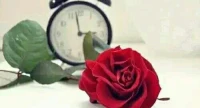 【秋心心語】:
時光不急不緩，歲月不負深情。一輪滿月，一碗元宵，一段回憶，這溫馨祥和的元宵佳節(jié)，也有著別樣的詩情畫意和浪漫情懷。
隨著元宵節(jié)的到來，春節(jié)也漸漸接近了尾聲，攜著祝福，懷著希望，讓我們一起向著春天前行。祝大家元宵節(jié)快樂！闔家幸福團圓！配圖