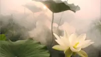 人必須學(xué)會(huì)愛自己，……通過健全的愛，人才能與自己相處，而無需漂泊游蕩。——尼采配圖