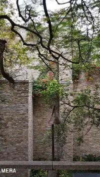 如果一個醫生面對心理承受力等級很低的癌癥患者簡單的告訴他“你患了癌癥”，可能大家都知道什么后果，并且有很多的案例證明了其必然后果的出現。同樣道理，對“恐病”的人給他貼上心理專業術語標簽，其后果不亞于“癌癥診斷書”。我想告訴各位的是，無論什么“病”，名詞概念都是僵化的，我們要學會如何解決此時此刻的“問題”的行為方法，才是第一！配圖