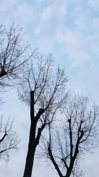 【轉(zhuǎn)】一年中的夜晚與白天數(shù)量相同，持續(xù)時(shí)間一樣長(zhǎng)。再快樂(lè)的生活也有其陰暗的筆觸，沒(méi)有“悲哀”提供平衡，“愉快”一詞就會(huì)失去意義。耐心鎮(zhèn)靜地接受世事變遷，是最好的處事之道。

																																		--榮格配圖