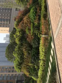 我們最重要的不是去計較真與偽，得與失，名與利，貴與賤，富與貧，而是如何好好地快樂度日，并從中發現生活的詩意。配圖