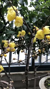 潛意識具有神奇魔力，認知自我潛意識內容和潛意識工作機制，是促進自我心理健康的重要途徑。本人擬開展相關培訓。配圖
