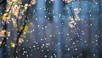 【轉(zhuǎn)】我們一定不要忘記，即使處境無望，在劫難逃，我們?nèi)钥梢詮闹姓业缴囊饬x。在任何特定的環(huán)境中，人們還有一種最后的自由，就是選擇自己的態(tài)度；人類最后的自由就是選擇自己的態(tài)度。
																								——弗蘭克爾配圖