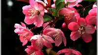 【轉(zhuǎn)】愛情與成熟度無關(guān)。如果不努力發(fā)展自己的全部人格，那么每種愛的努力都會失敗；如果沒有愛他人的能力，如果不能真正謙恭地、勇敢地、真誠地和有紀(jì)律地愛他人，那么人們，在自己的愛情生活中也永遠(yuǎn)得不到滿足。

															--艾瑞克·弗洛姆配圖