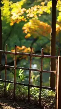 【轉】你所埋葬的存在物會隨你的消瘦而肥大起來。如果你經由拒絕來擺脫自己不喜歡的特質，你就會變得越來越不能覺知自己的存在，你越來越宣布自己為非存在，你的惡魔會越來越肥大。
						
																																			—榮格配圖