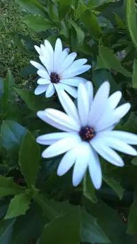 【轉(zhuǎn)】一個人如果站在自己的立場上來看待別人，常常會把人看錯。我看人，從來不看他對我如何，而是看他對別人如何。

																										--蘇格拉底配圖
