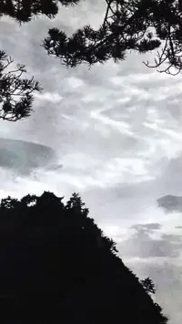 蝴蝶效應(yīng)現(xiàn)象值得深思。配圖