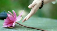 【秋心心語】:
有的人你可能認(rèn)識(shí)了一輩子卻忽視了一輩子；有的人你也許只見了一面卻影響了一生；有的人默默的守在你身邊為你付出卻被冷落；有的人無心的一個(gè)表情卻成了你永恒的牽掛。我們常常是努力珍惜未得到的，而遺忘了已擁有的。不要向遠(yuǎn)方尋找幸福，它也許就在你的手中，你只要安然，握住……配圖