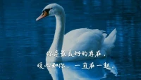 【暖心語】不管你曾經犯了多少錯誤，有多么不堪，也會有人視你如珍寶，不要自我放棄，要好好的，讓自己的內心強大而有力量，晚安，你是最美好的存在，暖心和你，一直在一起。配圖
