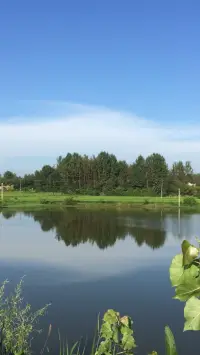 每日一語，讀三遍：世界用愛來療愈傷口。配圖