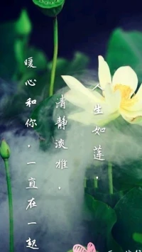 【暖心語】過你想要的生活，暖心和你，一直一起。配圖