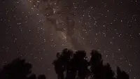 我們看一場電影：它由成千上萬個鏡頭組成，每個鏡頭都有其含義和意義，但是在看完最后一個鏡頭之前，整個電影的意義是不能確知的。但是，如果我們不能理解每個鏡頭的意義，那么對整個電影的意義也就無法把握。生命的終極意義難道不也是這樣？只有在瀕死之時人們才能揭示生命的全部意義，而這種終極意義也有賴于生命過程中盡其所能地實現(xiàn)每個單一情境的潛在意義。

																										—弗蘭克爾配圖