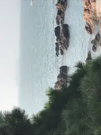 每天呼吸早清晨的空氣，一天的能量都滿滿！學會有章法的生活配圖