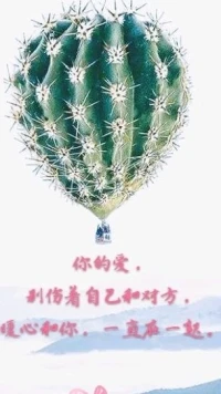 【暖心语】：爱一个人，没有错，但是你因为爱对方，做了错事，傻事，坏事，就不恰当了。
你的爱，别伤着自己和对方，暖心和你，一直在一起。配图